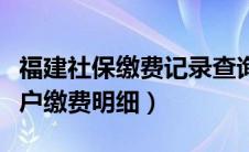 福建社保缴费记录查询（福建社保查询个人账户缴费明细）