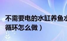 不需要电的水缸养鱼水循环（不用电的鱼缸水循环怎么做）