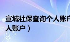 宣城社保查询个人账户查询（宣城社保查询个人账户）