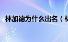 林加德为什么出名（林加德为什么这么火）