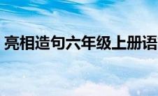 亮相造句六年级上册语文（亮相造句六年级）