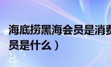 海底捞黑海会员是消费多少钱（海底捞黑海会员是什么）