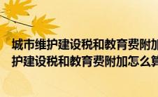 城市维护建设税和教育费附加的计税依据如何确定（城市维护建设税和教育费附加怎么算）