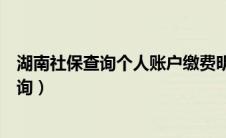 湖南社保查询个人账户缴费明细查询（湖南社保个人账户查询）