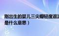 刚出生的婴儿三尖瓣轻度返流是什么意思（三尖瓣轻度返流是什么意思）