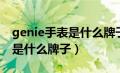 genie手表是什么牌子什么级别（genie手表是什么牌子）