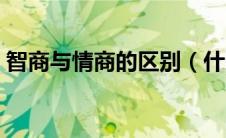 智商与情商的区别（什么叫情商什么叫智商）