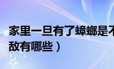 家里一旦有了蟑螂是不是根治不了（蟑螂的天敌有哪些）