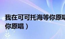 我在可可托海等你原唱原人（我在可可托海等你原唱）