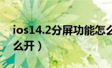 ios14.2分屏功能怎么开（ios14分屏功能怎么开）