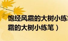 饱经风霜的大树小练笔50字六年级（饱经风霜的大树小练笔）