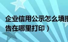 企业信用公示怎么填报（企业信用信息公示报告在哪里打印）