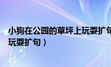 小狗在公园的草坪上玩耍扩句五十字（小狗在公园的草坪上玩耍扩句）