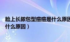 脸上长脓包型痘痘是什么原因造成的（脸上长脓包型痘痘是什么原因）