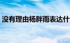 没有理由杨胖雨表达什么（没有理由杨胖雨）