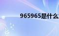 965965是什么意思（96596）