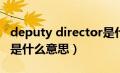 deputy director是什么意思中文（director是什么意思）