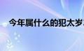 今年属什么的犯太岁2024（今年属什么）