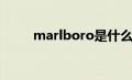 marlboro是什么烟（marlboro）