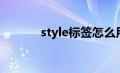 style标签怎么用（style标签）