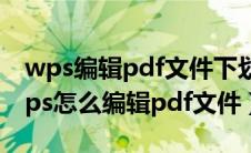 wps编辑pdf文件下划线如何不断开显示（wps怎么编辑pdf文件）