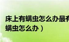 床上有螨虫怎么办最有效的方法图片（床上有螨虫怎么办）