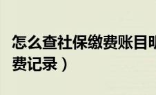 怎么查社保缴费账目明细记录（怎么查社保缴费记录）