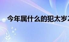 今年属什么的犯太岁2024（今年属什么）