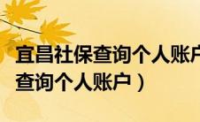 宜昌社保查询个人账户缴费明细（宜昌市社保查询个人账户）