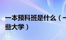 一本预科班是什么（一本好学校的预科班有哪些大学）