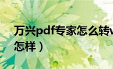 万兴pdf专家怎么转word（万兴pdf转换器怎样）