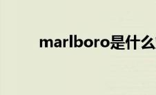 marlboro是什么烟（marlboro）