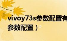 vivoy73s参数配置有nfc功能吗（vivoy73s参数配置）