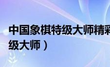 中国象棋特级大师精彩对局视频（中国象棋特级大师）