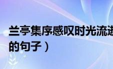 兰亭集序感叹时光流逝的句子（感叹时光飞逝的句子）