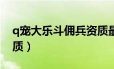 q宠大乐斗佣兵资质最高（q宠大乐斗佣兵资质）