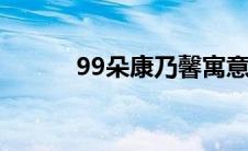 99朵康乃馨寓意（康乃馨寓意）