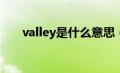 valley是什么意思（VAL是什么意思）