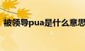 被领导pua是什么意思（被pua是什么意思）