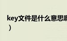 key文件是什么意思啊（key是什么文件格式）