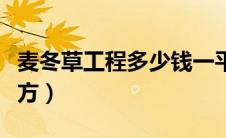 麦冬草工程多少钱一平方（麦冬草多少钱一平方）