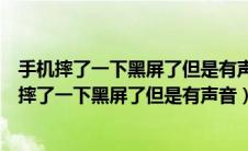 手机摔了一下黑屏了但是有声音怎么回事休要多少钱（手机摔了一下黑屏了但是有声音）