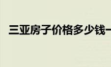 三亚房子价格多少钱一平（三亚房子价格）