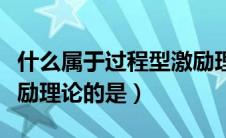 什么属于过程型激励理论（下列属于过程型激励理论的是）