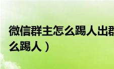 微信群主怎么踢人出群有提示吗（微信群主怎么踢人）