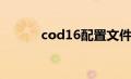 cod16配置文件（cod16配置）