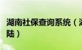 湖南社保查询系统（湖南社保查询个人账户登陆）