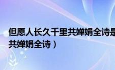 但愿人长久千里共婵娟全诗是几年级学的（但愿人长久千里共婵娟全诗）