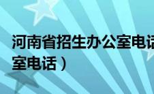 河南省招生办公室电话咨询（河南省招生办公室电话）