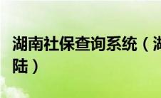 湖南社保查询系统（湖南社保查询个人账户登陆）